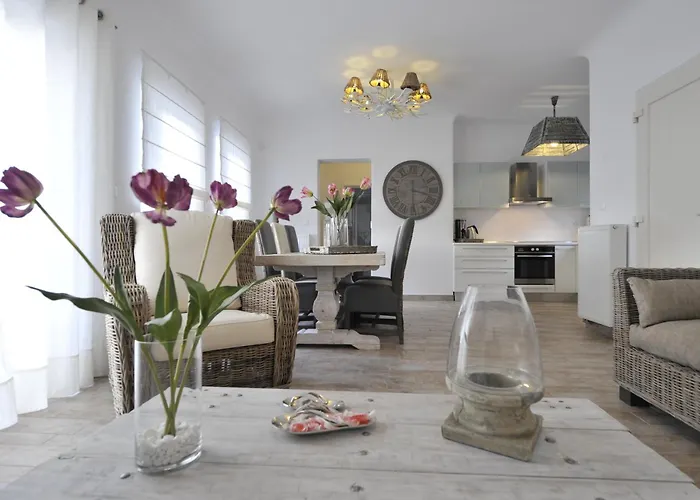 Chrysalis Nature 3 * פארוס