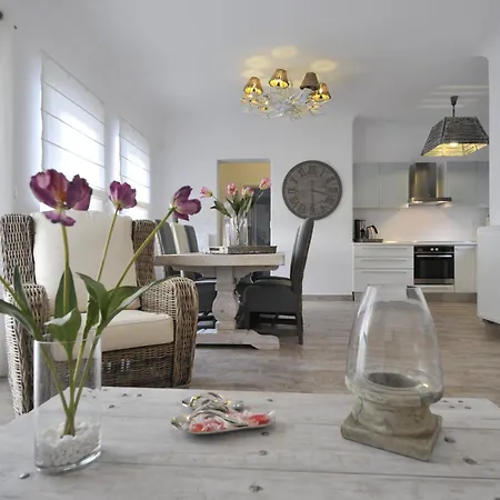 Chrysalis Nature 3 * Paro